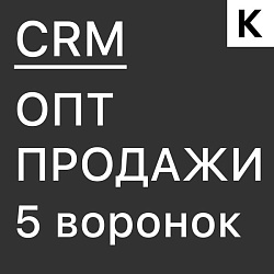 ОПТОВЫЕ ПРОДАЖИ - ГОТОВАЯ CRM система: 5 воронок с прогревом базы клиентов и обратной связью
